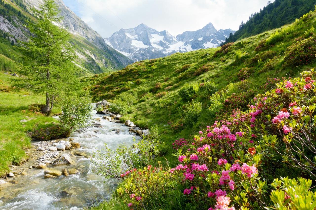 Manni - & Mayrhofen